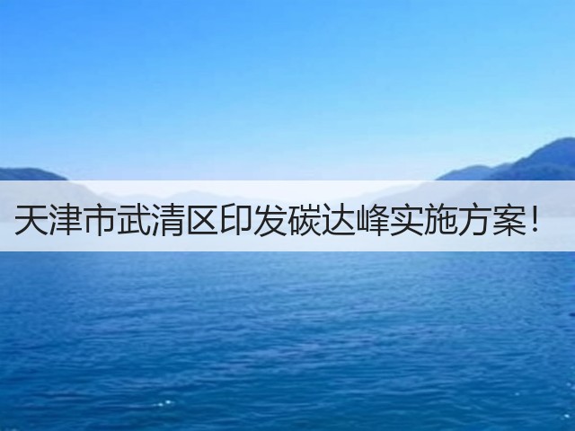 天津市武清区印发碳达峰实施方案！(图1)
