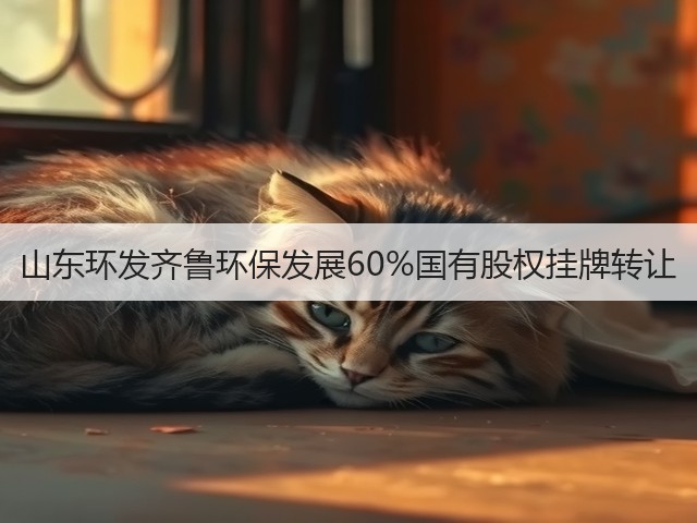 山东环发齐鲁环保发展60%国有股权挂牌转让(图1)