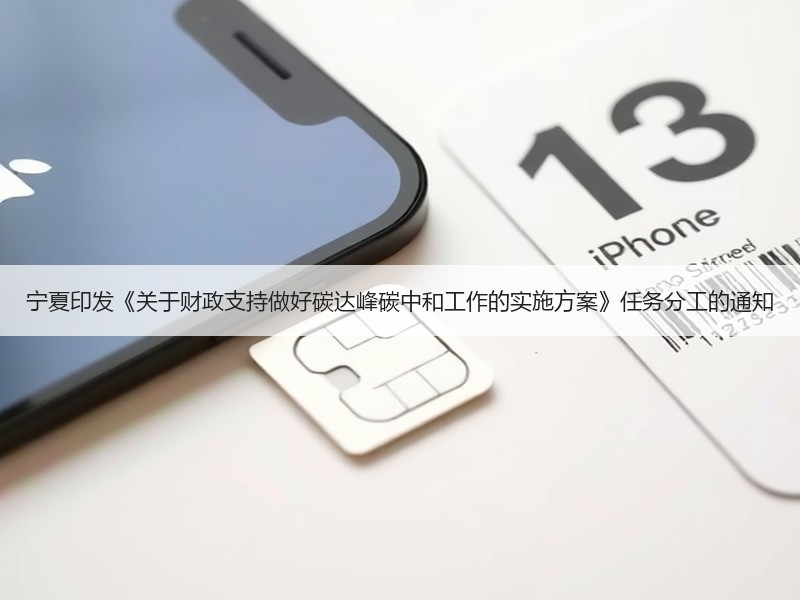 宁夏印发《关于财政支持做好碳达峰碳中和工作的实施方案》任务分工的通知