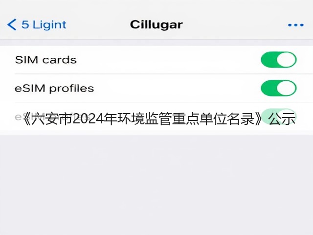 《六安市2024年环境监管重点单位名录》公示(图3)