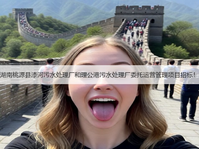 湖南桃源县漆河污水处理厂和理公港污水处理厂委托运营管理项目招标！(图1)