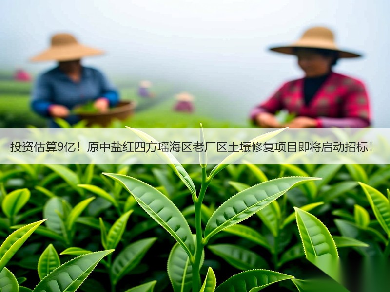 投资估算9亿！原中盐红四方瑶海区老厂区土壤修复项目即将启动招标！