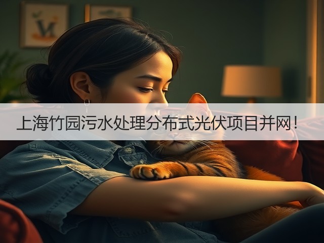 上海竹园污水处理分布式光伏项目并网！(图1)
