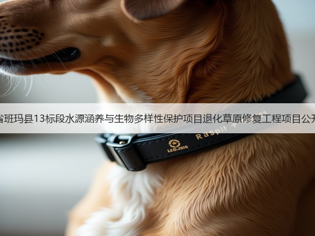 青海省班玛县13标段水源涵养与生物多样性保护项目退化草原修复工程项目公开招标(图3)