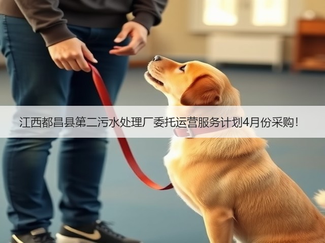 江西都昌县第二污水处理厂委托运营服务计划4月份采购！(图3)