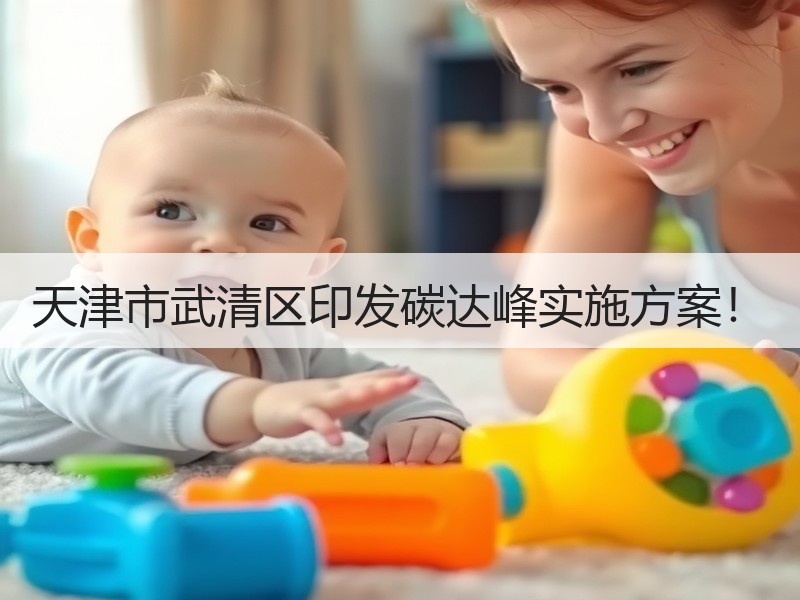 天津市武清区印发碳达峰实施方案！