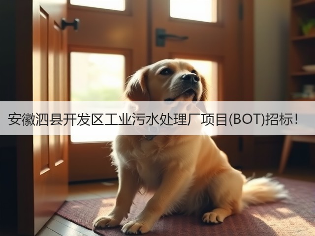 安徽泗县开发区工业污水处理厂项目(BOT)招标!(图2) 安徽泗县开发区工业污水处理厂项目(BOT)招标!(图2)