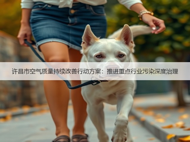 许昌市空气质量持续改善行动方案：推进重点行业污染深度治理(图1)