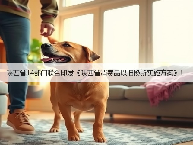 陕西省14部门联合印发《陕西省消费品以旧换新实施方案》!(图1) 陕西省14部门联合印发《陕西省消费品以旧换新实施方案》!(图1)