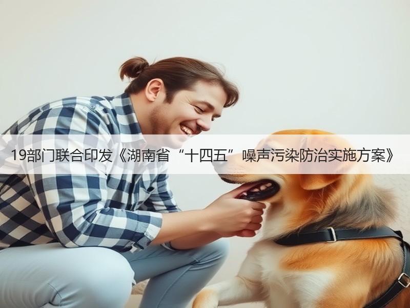 19部门联合印发《湖南省“十四五”噪声污染防治实施方案》