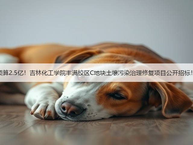 预算2.5亿！吉林化工学院丰满校区C地块土壤污染治理修复项目公开招标！(图1)
