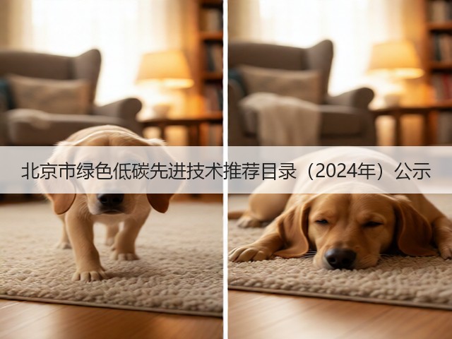 北京市绿色低碳先进技术推荐目录（2024年）公示(图1)