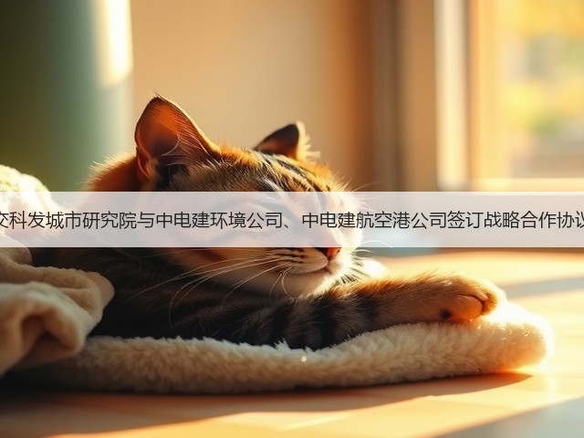 交科发城市研究院与中电建环境公司、中电建航空港公司签订战略合作协议(图1)