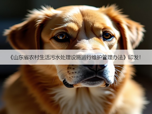 《山东省农村生活污水处理设施运行维护管理办法》印发！(图1)