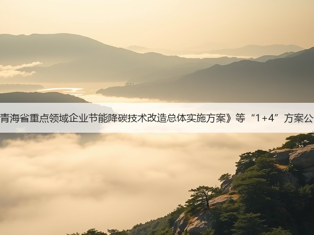 《青海省重点领域企业节能降碳技术改造总体实施方案》等“1+4”方案公示(图2) 《青海省重点领域企业节能降碳技术改造总体实施方案》等“1+4”方案公示(图2)