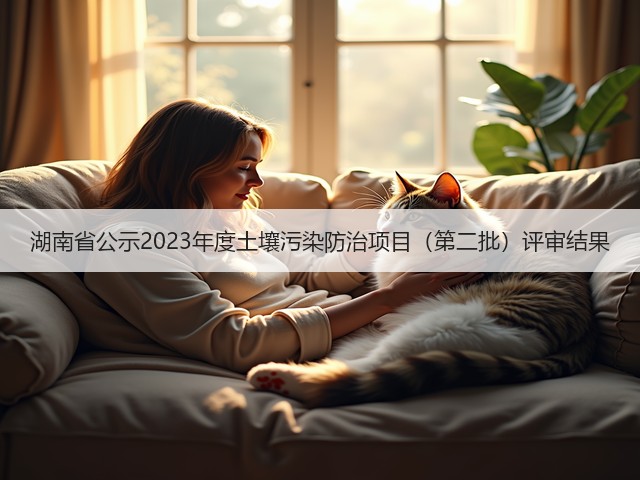 湖南省公示2023年度土壤污染防治项目（第二批）评审结果(图1)