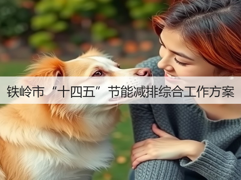 铁岭市“十四五”节能减排综合工作方案