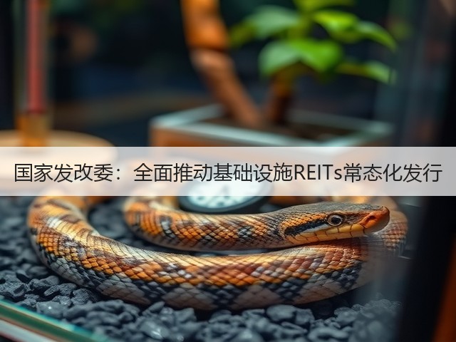 国家发改委：全面推动基础设施REITs常态化发行(图2)