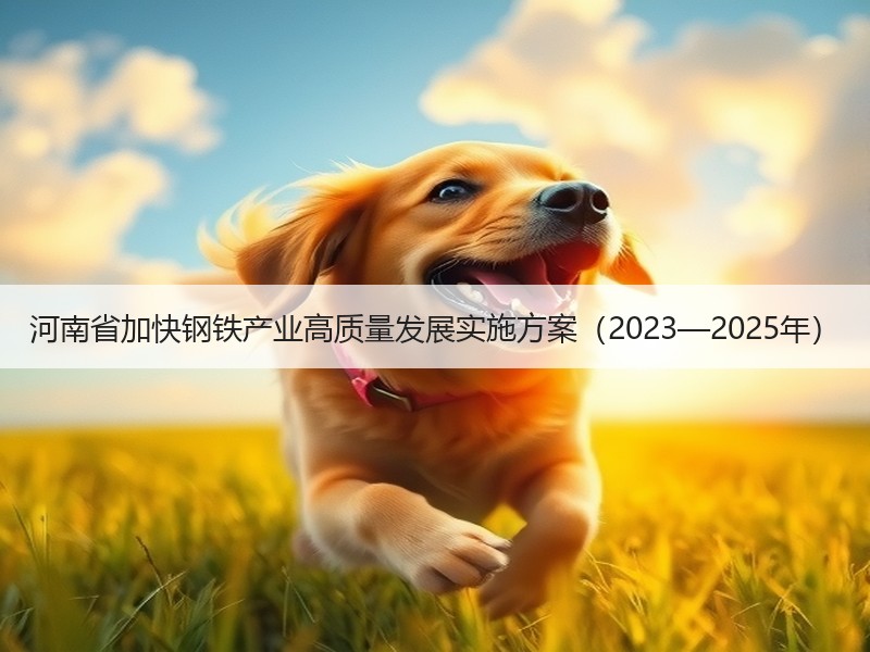 河南省加快钢铁产业高质量发展实施方案(2023—2025年) 河南省加快钢铁产业高质量发展实施方案(2023—2025年)