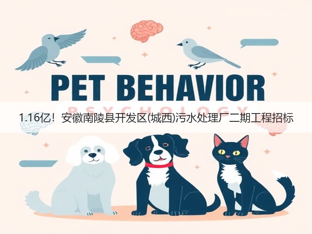 1.16亿！安徽南陵县开发区(城西)污水处理厂二期工程招标(图1)