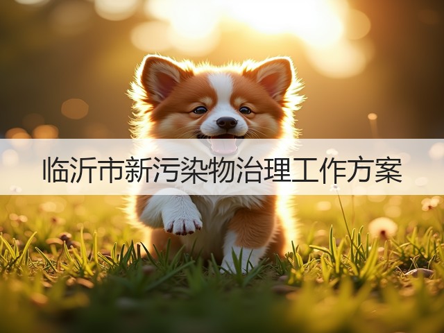 临沂市新污染物治理工作方案(图1) 临沂市新污染物治理工作方案(图1)