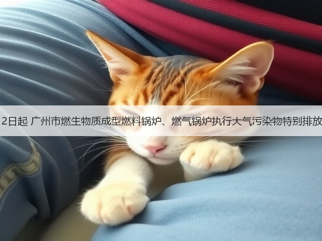 6月12日起 广州市燃生物质成型燃料锅炉、燃气锅炉执行大气污染物特别排放限值(图3) 6月12日起 广州市燃生物质成型燃料锅炉、燃气锅炉执行大气污染物特别排放限值(图3)