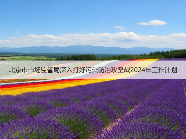 北京市市场监管局深入打好污染防治攻坚战2024年工作计划(图3)