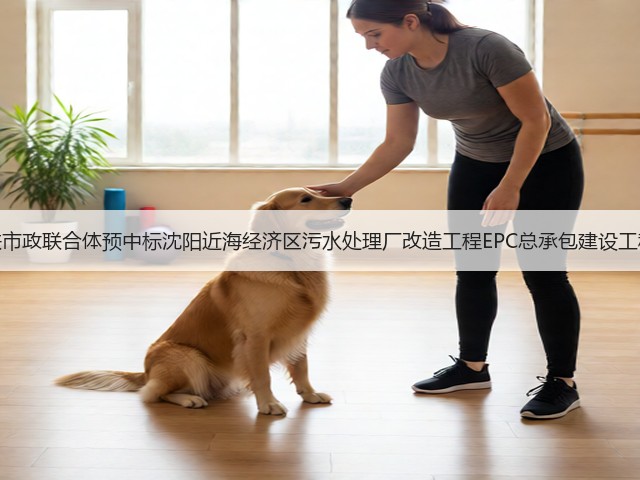 中铁市政联合体预中标沈阳近海经济区污水处理厂改造工程EPC总承包建设工程！(图1)