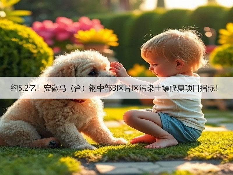 约5.2亿！安徽马（合）钢中部B区片区污染土壤修复项目招标！