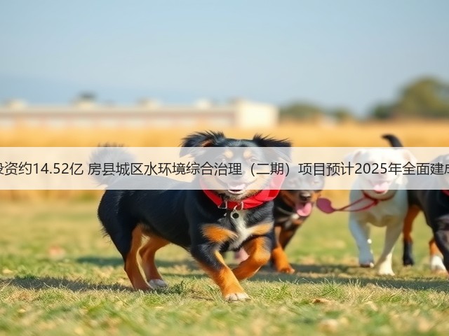 总投资约14.52亿 房县城区水环境综合治理(二期)项目预计2025年全面建成!(图1) 总投资约14.52亿 房县城区水环境综合治理(二期)项目预计2025年全面建成!(图1)