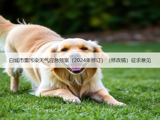 白城市重污染天气应急预案（2024年修订）（修改稿）征求意见(图1)