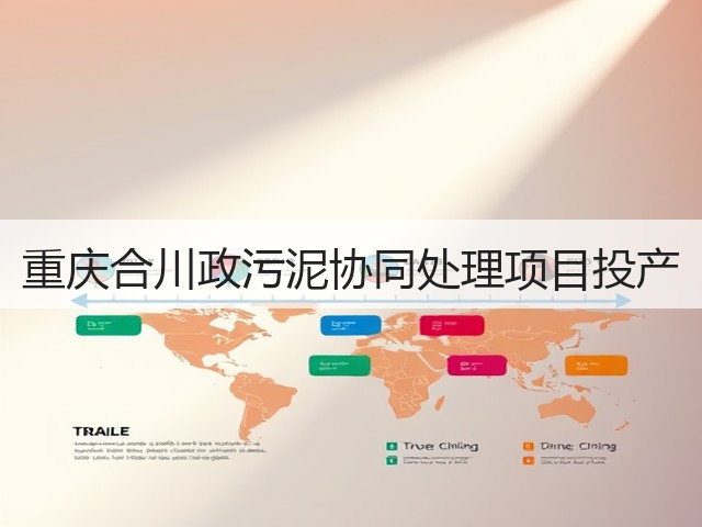 重庆合川政污泥协同处理项目投产(图1)