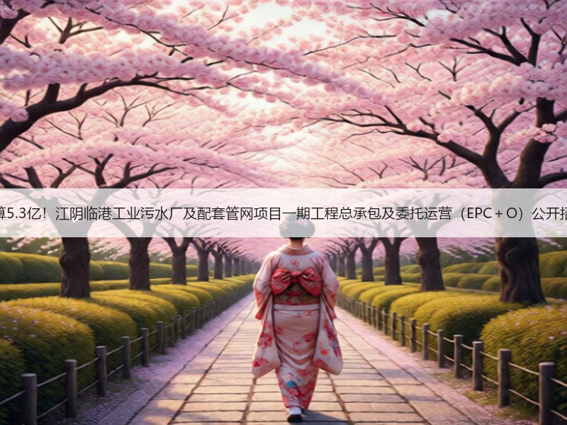 预算5.3亿！江阴临港工业污水厂及配套管网项目一期工程总承包及委托运营（EPC＋O）公开招标