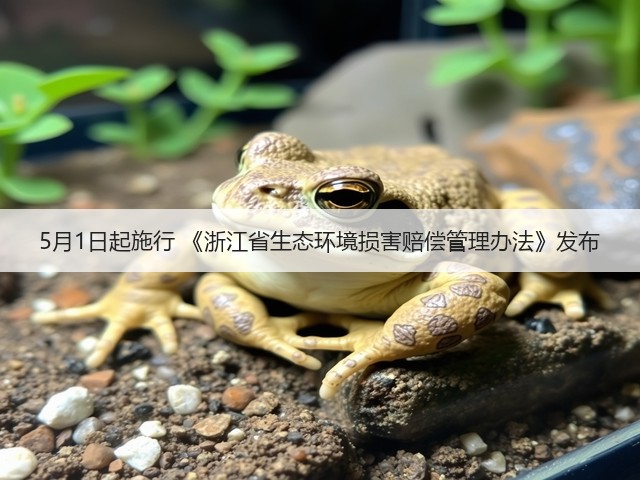 5月1日起施行 《浙江省生态环境损害赔偿管理办法》发布(图1) 5月1日起施行 《浙江省生态环境损害赔偿管理办法》发布(图1)
