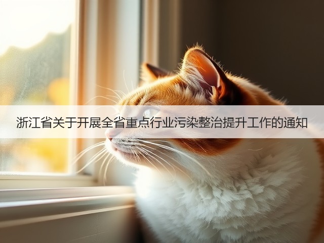 浙江省关于开展全省重点行业污染整治提升工作的通知(图1)