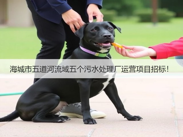 海城市五道河流域五个污水处理厂运营项目招标！(图1)