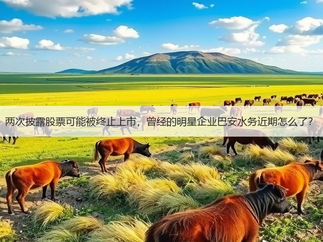 两次披露股票可能被终止上市，曾经的明星企业巴安水务近期怎么了？(图1)
