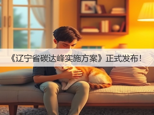 《辽宁省碳达峰实施方案》正式发布！(图2)