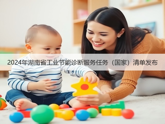 2024年湖南省工业节能诊断服务任务（国家）清单发布(图1)