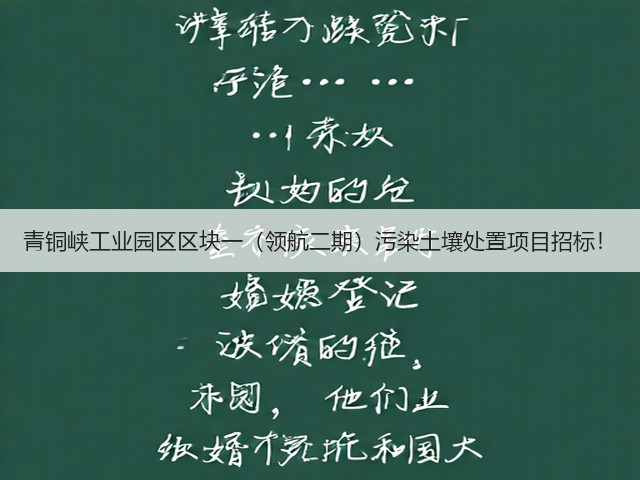 青铜峡工业园区区块一（领航二期）污染土壤处置项目招标！(图1)