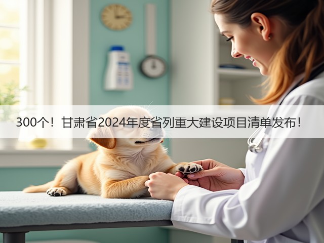300个!甘肃省2024年度省列重大建设项目清单发布!(图1) 300个!甘肃省2024年度省列重大建设项目清单发布!(图1)