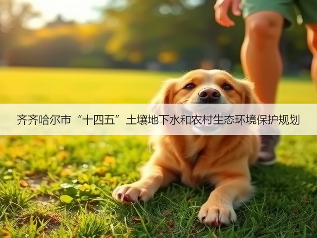 齐齐哈尔市“十四五”土壤地下水和农村生态环境保护规划(图1)