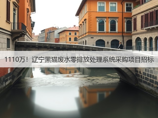 1110万！辽宁黑猫废水零排放处理系统采购项目招标(图1)