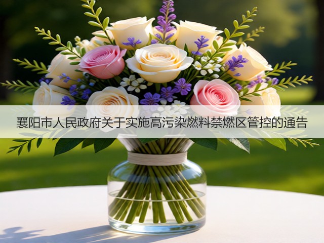 襄阳市人民政府关于实施高污染燃料禁燃区管控的通告(图3)