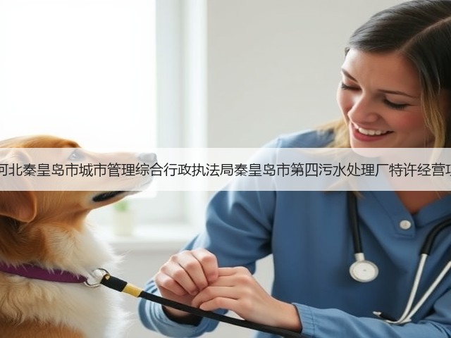 特许经营期限为30年！河北秦皇岛市城市管理综合行政执法局秦皇岛市第四污水处理厂特许经营项目（二次）公开招标！(图1)