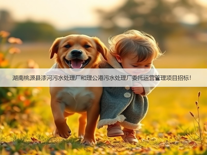 湖南桃源县漆河污水处理厂和理公港污水处理厂委托运营管理项目招标！
