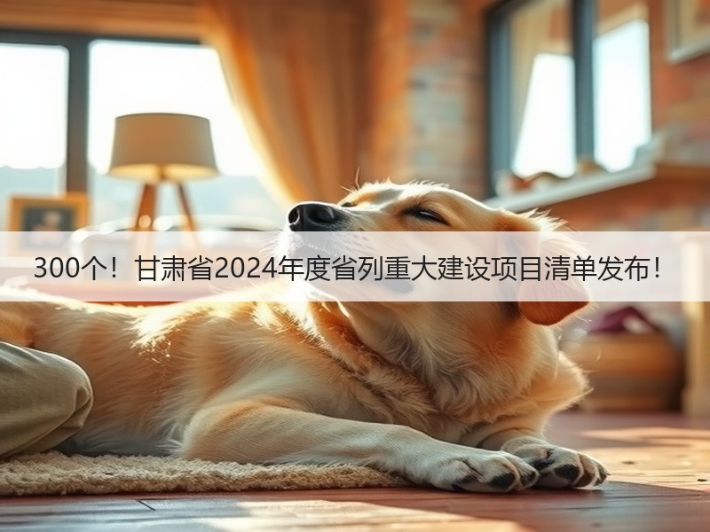 300个！甘肃省2024年度省列重大建设项目清单发布！