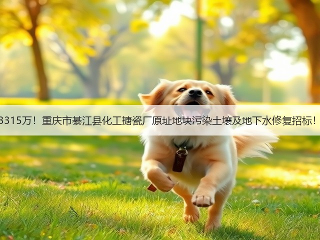 3315万！重庆市綦江县化工搪瓷厂原址地块污染土壤及地下水修复招标！(图1)