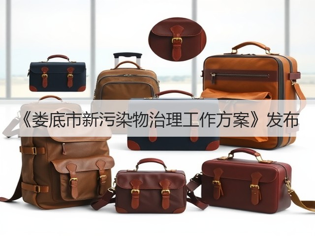《娄底市新污染物治理工作方案》发布(图1)