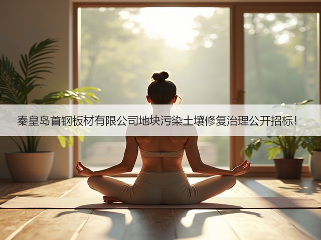 秦皇岛首钢板材有限公司地块污染土壤修复治理公开招标!(图1) 秦皇岛首钢板材有限公司地块污染土壤修复治理公开招标!(图1)